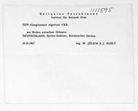 Image Associated With the Occurence